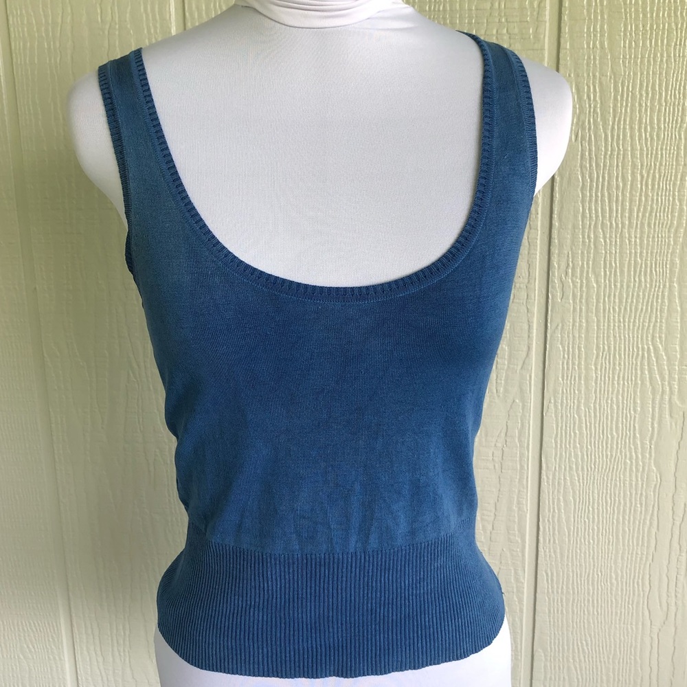 Express Blue sweater crop top